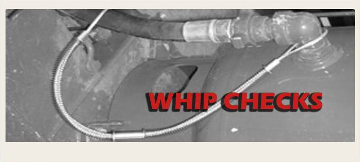 whip check